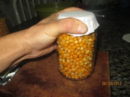 IMG_0836.jpg