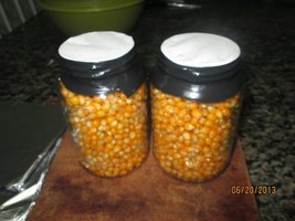 IMG_0838.jpg