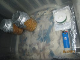 IMG_0873.jpg