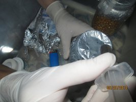 IMG_0876.jpg