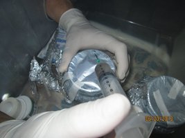 IMG_0877.jpg