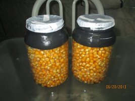 IMG_0879.jpg