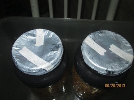 IMG_0880.jpg