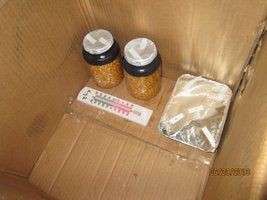IMG_0881.jpg