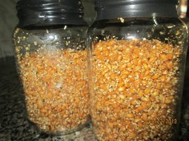 IMG_0890.jpg