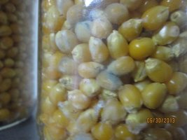 IMG_0893.jpg