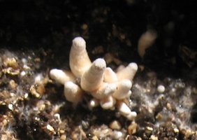 00006_636_452.jpg