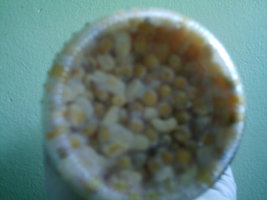 IMAG0006.JPG