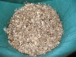 00005_800x600.jpg