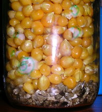 DSCN1236.JPG