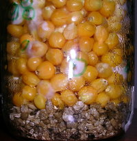 DSCN1237.JPG