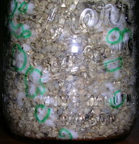 DSCN1238.JPG