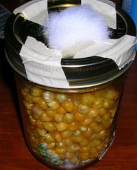 DSCN1239.JPG