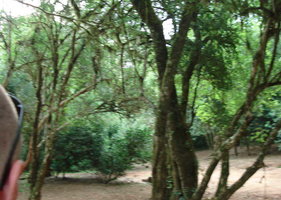 visão terra.jpg