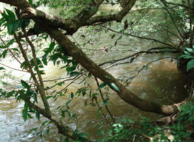 vista rio ld.jpg
