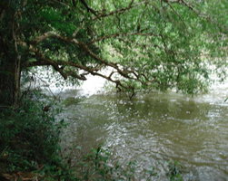 vista rio le.jpg