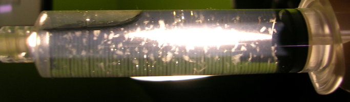 DSCN1227.JPG