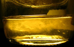 DSCN1242.JPG