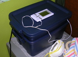 DSCN1245.JPG