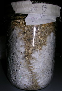 DSCN1254.JPG