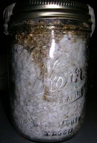 DSCN1255.JPG