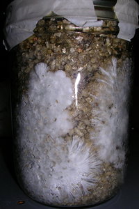 DSCN1256.JPG