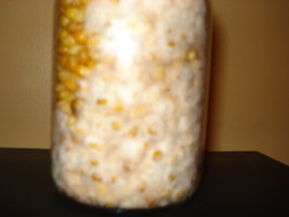 DSC00542.JPG