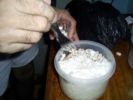Imagem 0498.jpg
