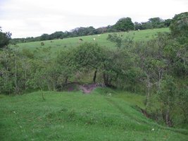 chacara (1).jpg