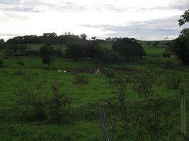 chacara (2).jpg