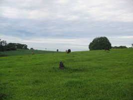 chacara (3).jpg
