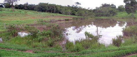 panorama.jpg