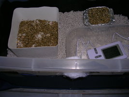 DSCN1270.JPG