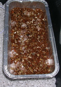DSCN1281.JPG