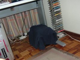 DSCF7433.JPG