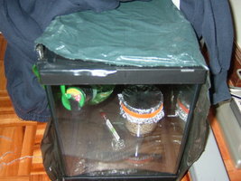 DSCF7437.JPG