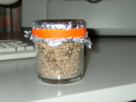 DSCF7440.JPG