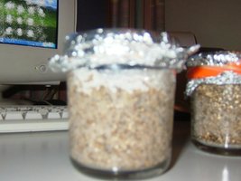 DSCF7445.JPG