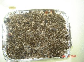 Case1.JPG