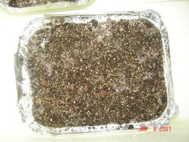 Case5.JPG
