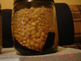 Contaminacao.JPG
