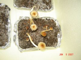Case2.JPG