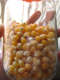 milho1 003.jpg