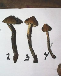 58238-PIC00015.jpg