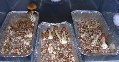 DSCN1311.JPG