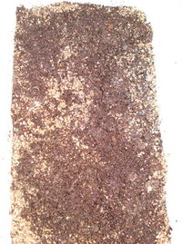 flor limpa superior 1.jpg