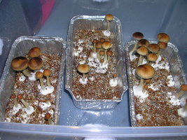 DSCN1322.JPG