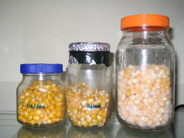 agua 004.jpg