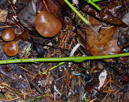 DSCN1175.JPG