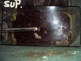 100_2768.jpg